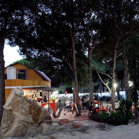 Camping Vejer Вьер де ла Фронтера Экстерьер фото